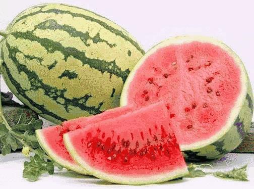 宁夏的魅力与风情