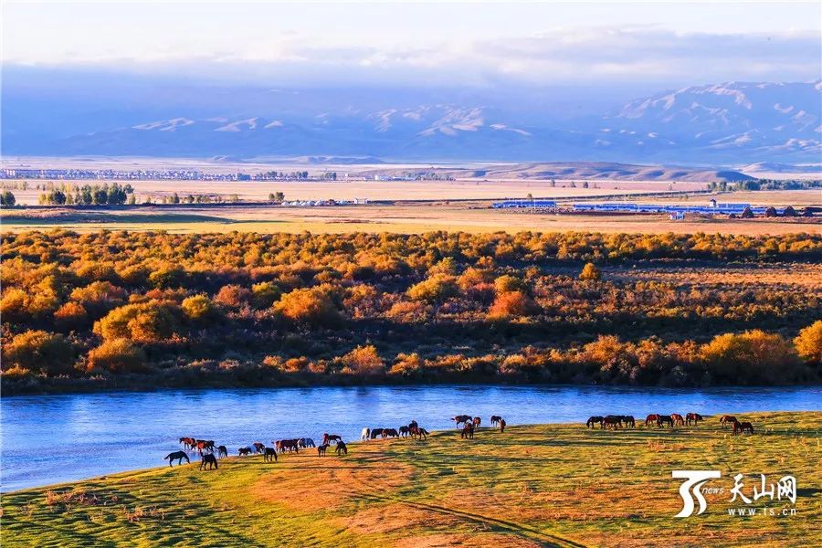 新疆阳光下的友谊与家园温情
