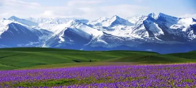 新疆阳光下的友谊与家园温情