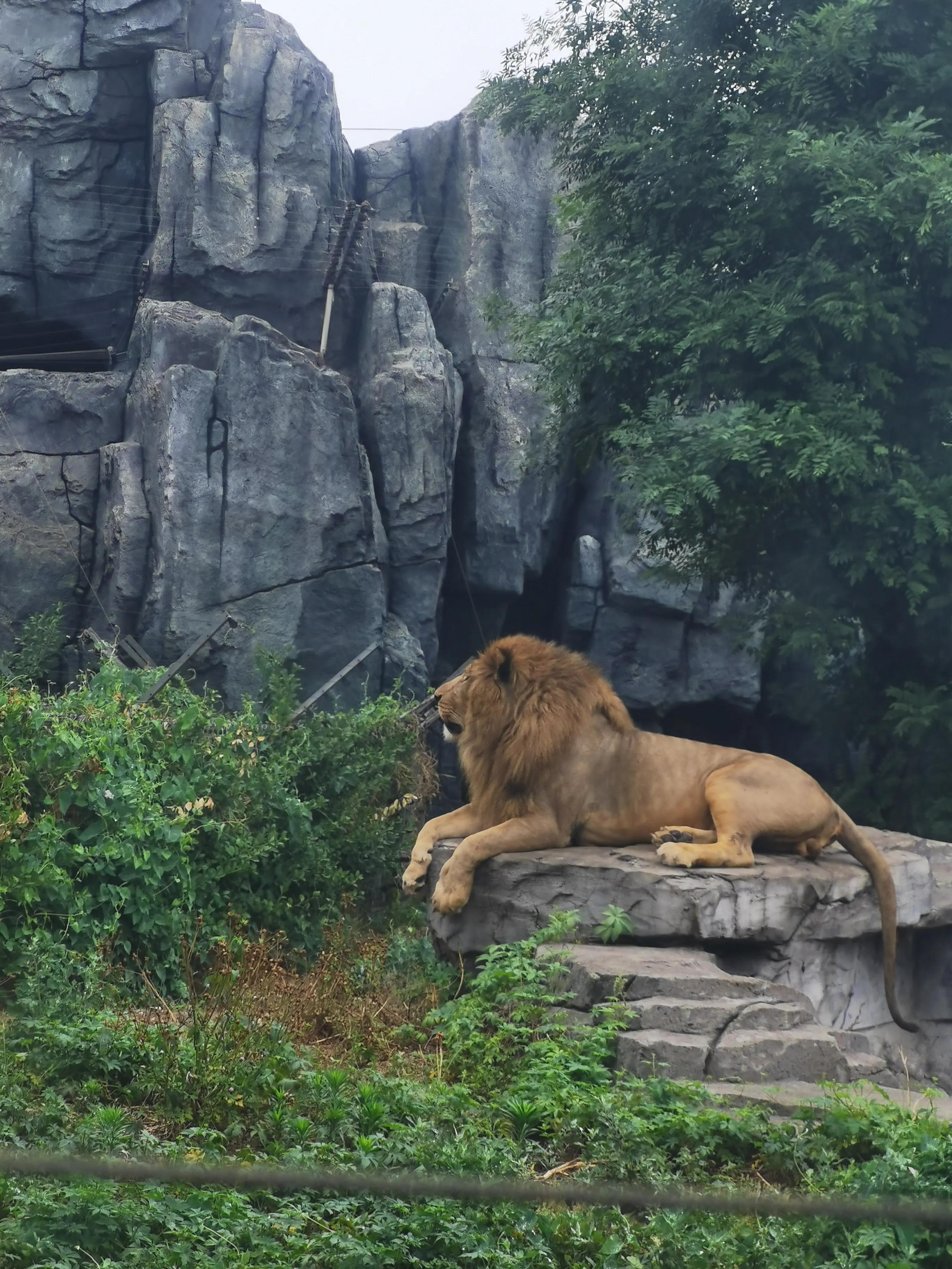 唐山，历史与现代交融的璀璨之城